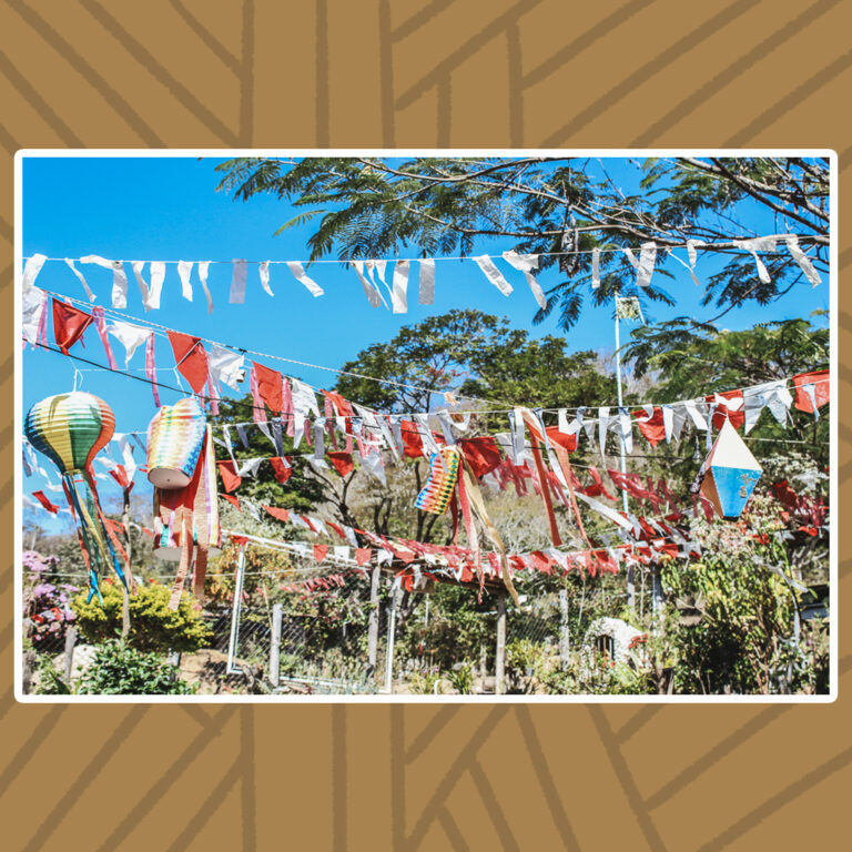 Para todos verem: Dia de céu azulado e firme sobre árvores de copas frondosas, que sustentam um grande varal de bandeirinhas de festividades juninas. O colorido de bandeiras e faixas brancas e vermelhas se juntam aos balões e sanfonas de sedas multicoloridos.