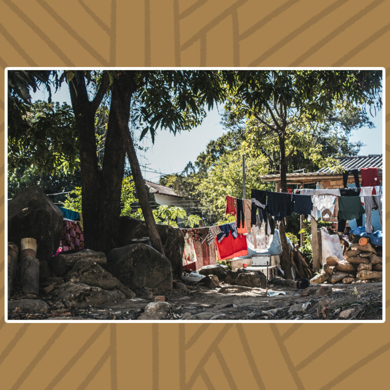 Para todos verem: Em um fundo de quintal está uma grande mangueira, cujo tronco serve de sustentação para um grande varal de roupas estendidas. Abaixo da copa da mangueira, sob grande sombra, à esquerda, telhas coloniais empilhadas e, à direita, uma pilha de lenha. O terreno é pedregoso e recebe feixes de luz do sol.