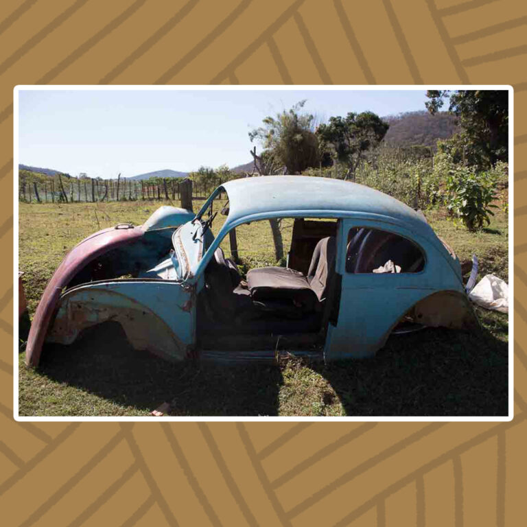 Para todos verem: A paisagem deserta, por meio da vegetação rasteira e da tímida cerca de galhos ao fundo, dá lugar a um solitário fusca que resiste. Sua cor azul-claro é tomada pela ferrugem. Apesar da ausência de portas, vidros, rodas e parte do estofado. Uma poltrona dianteira ainda resiste, tal como a tampa do capô solta e escorada ao resto da carcaça.