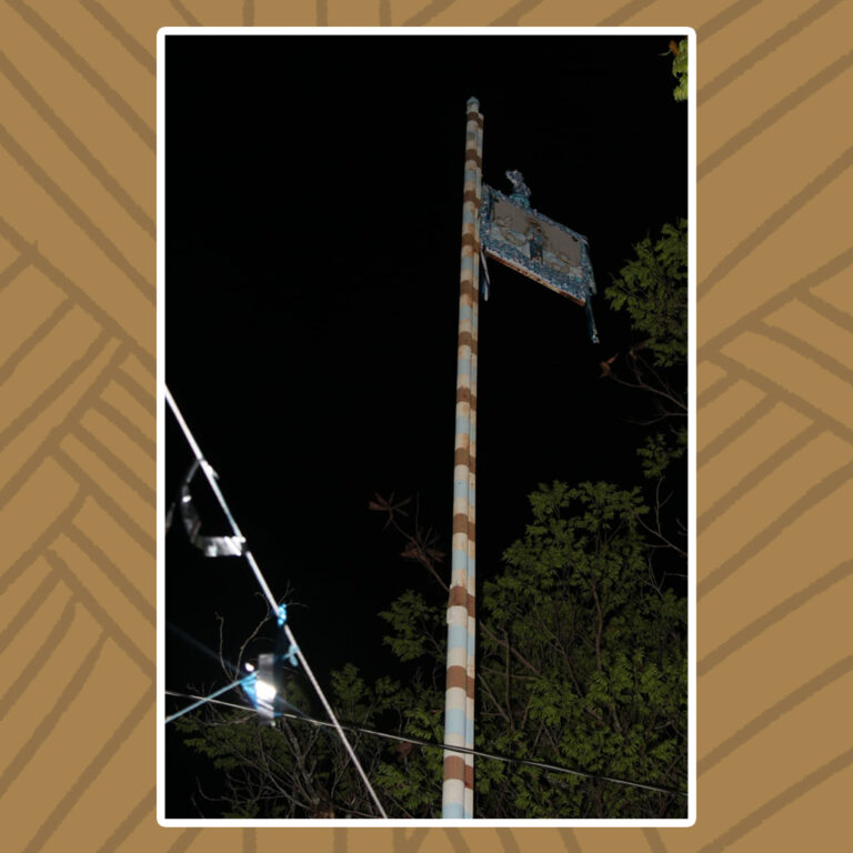 Para todos verem: Em noite escura, acima das copas das árvores está o mastro com a bandeira de Nossa Senhora do Rosário. O mastro de listras horizontais em branco, rosa e azul-claro se junta com a moldura de fitas e flores em azul-claro.