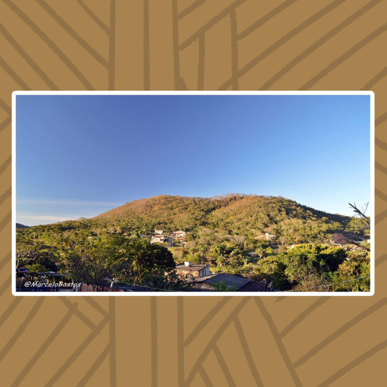 Para todos verem: Em um dia de céu aberto, sem nuvens, sobre um morro de duas colinas está a comunidade quilombola de Pinhões. Ao centro, as lajes e telhados das casas da comunidade se mesclam timidamente com as árvores de copas frondosas.