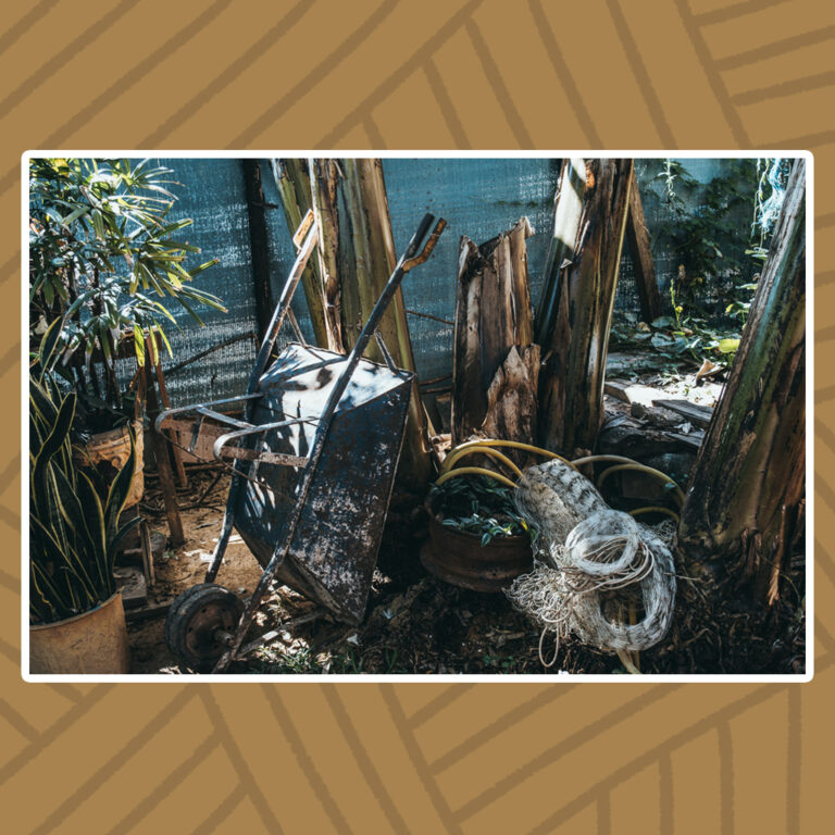 Para todos verem: Em um fundo de quintal, ferramentas e bananeiras, algumas destas com o caule cortado ao meio. Entre elas, ao centro, estão alguns utensílios de trabalho, dentre eles uma mangueira plástica, uma corda branca enrolada e um carrinho de mão que descansa em pé apoiado em um dos troncos. À esquerda do carrinho de mão, plantas em latões. Destaque para um conjunto de espadas de São Jorge. Ferramentas enferrujadas compõem o fundo do quintal..